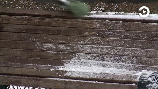 Коммунальные службы Пензы подготовились к ухудшению погодных условий