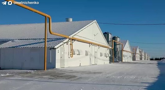 Олег Мельниченко: После открытия птичников в Большой Елани показали заместителю министра сельского хозяйства России крупнейший в Европе завод ГК «Дамате» по глубокой переработке индейки, расположенный в Нижнем Ломове...