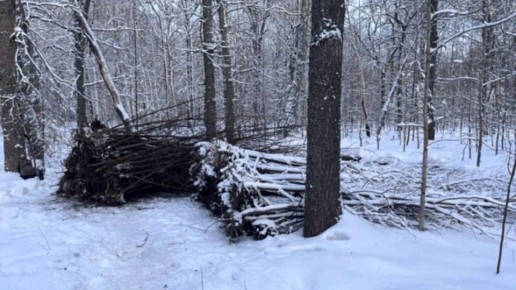 Пензенская полиция на месте преступления задержала мужчину, укравшего 173 саженца липы из питомника