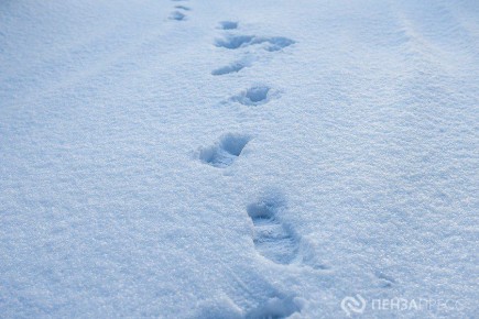 В Пензе 16 декабря ожидается до -11 градусов и небольшой снег