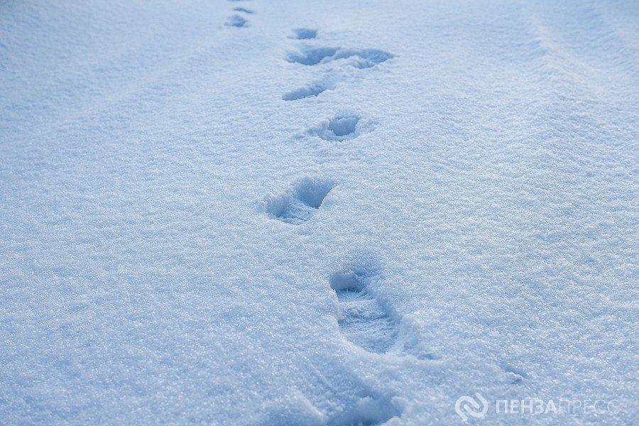 В Пензе 16 декабря ожидается до -11 градусов и небольшой снег