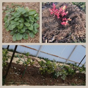 ��� ����������� ��� � ����: ������� �������������� �� ����� �� ����������