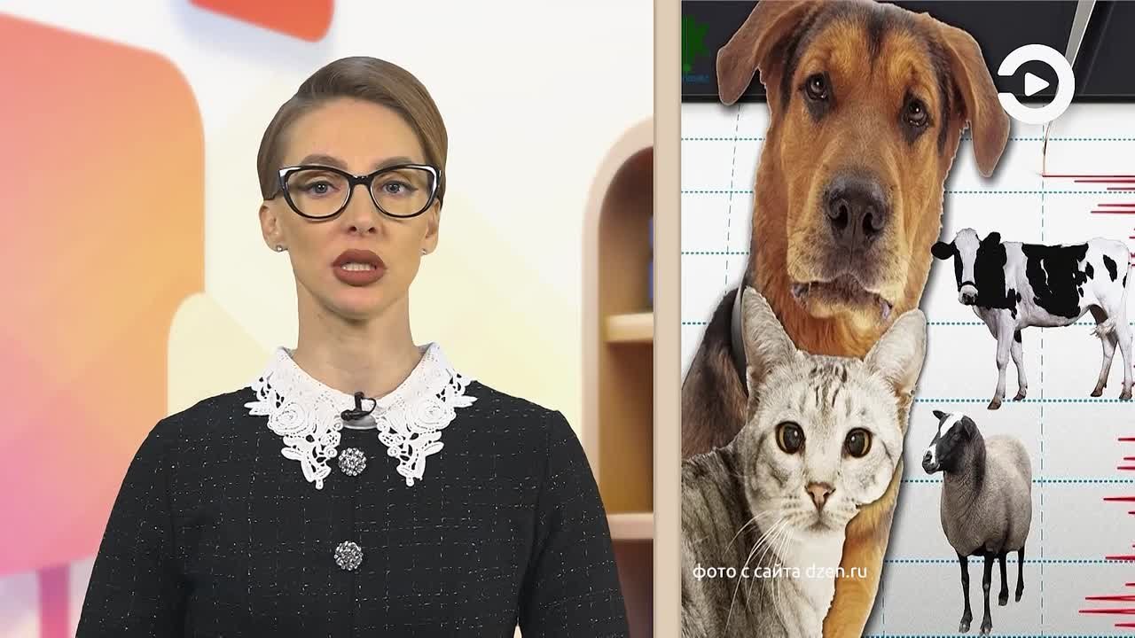 Представьте, что у природы есть свой тихий шёпот, который слышат не все