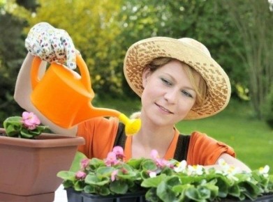 Эффективные народные методы борьбы с плесенью в цветочных горшках