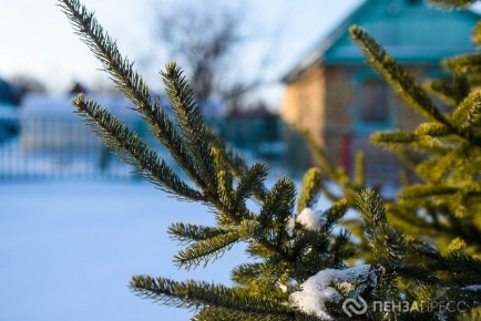 В Пензе 20 декабря ожидается до +2 градусов