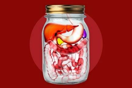 ��� ����� ������������ ����� �������� ���� �������� ��������