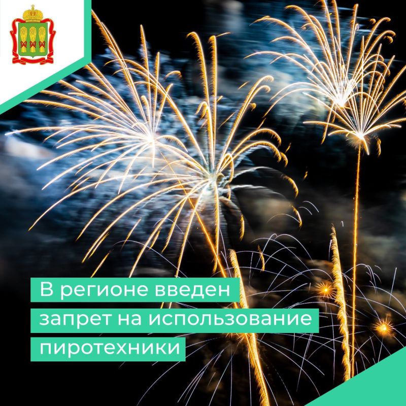 В соответствии с указом Губернатора Пензенской области на территории региона введён запрет на использование пиротехнических изделий с 20 декабря 2025 года по 9 января 2026 года для всех жителей Пензенской области