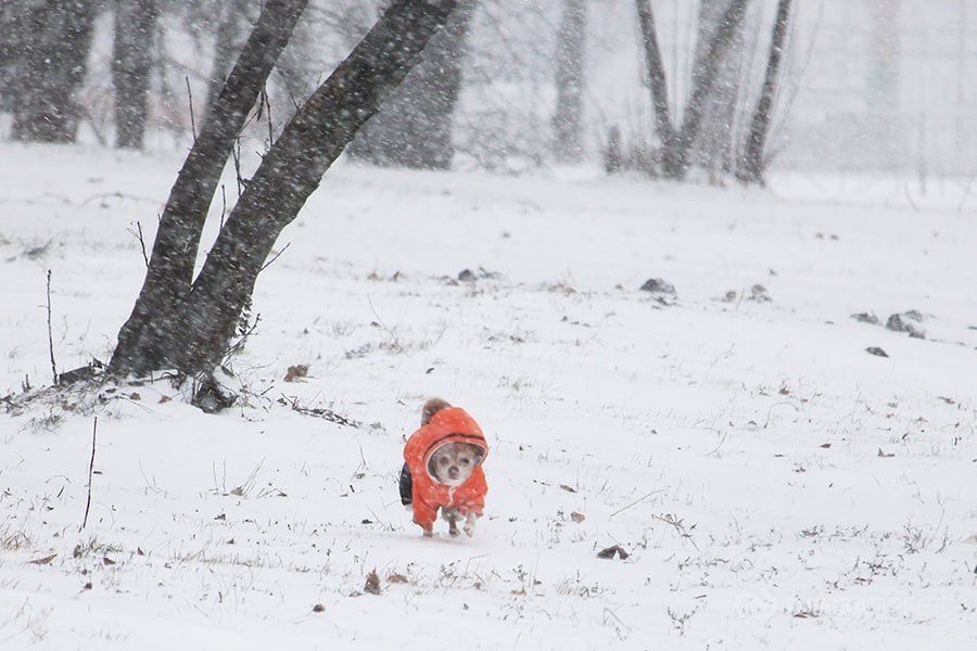 � ����� 23 ������� ���� ��������� �� -8 �������� � ��������� ����