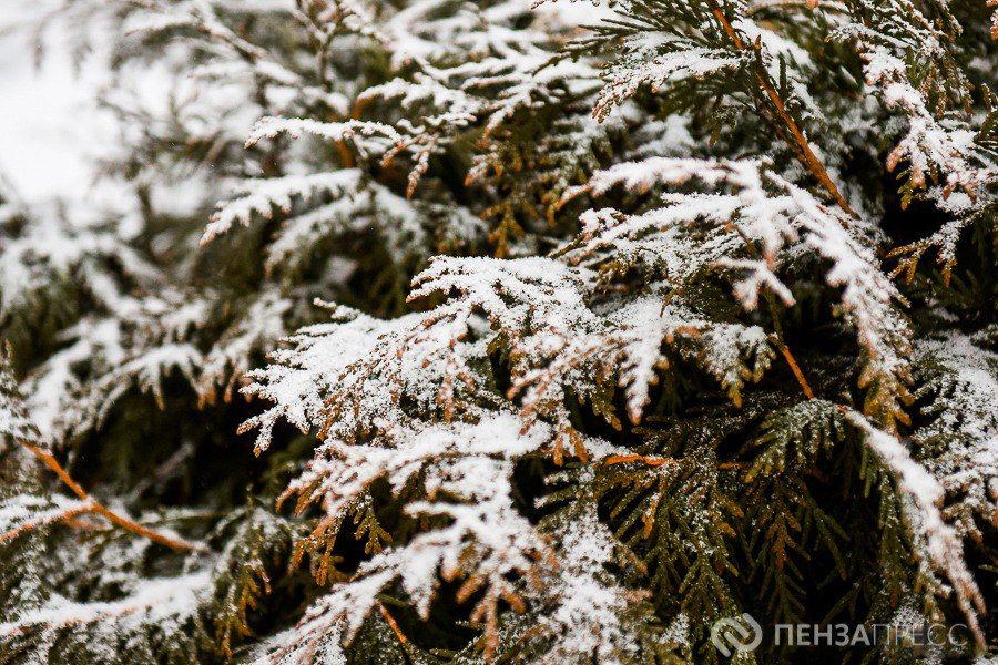 В Пензе днем 25 декабря ожидается до -10 градусов