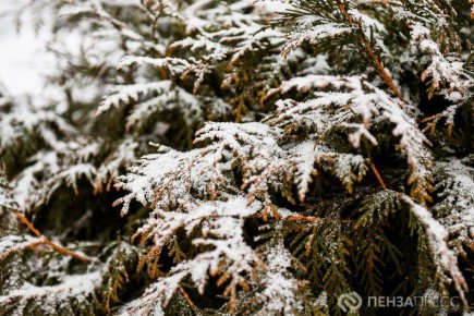 � ����� ���� 25 ������� ��������� �� -10 ��������