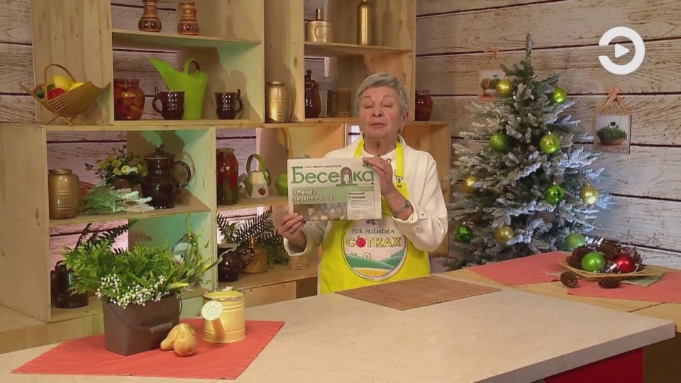 Как сделать так, чтобы мята цвела круглый год? Какие есть сорта? Узнаем у Нины Аристаровой