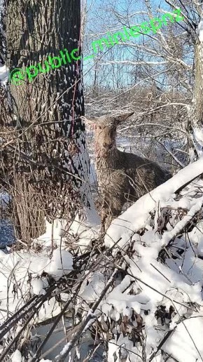 ���������� ��������������� ������� � ��������� (�����) �������� �� �������� ���������� �����, ���������� � ��������� ����������