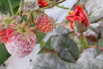 ������� ������ � ��������� ����� � ���� � �������