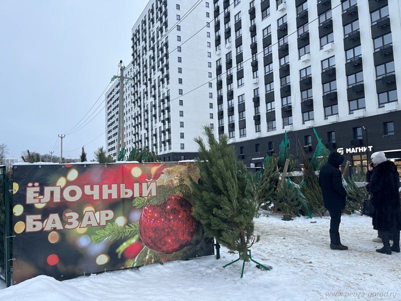 В Октябрьском районе проверили елочные базары