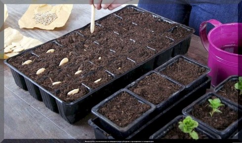 ������� ��������� �������: ������ �� ����� �������������� ������� �������