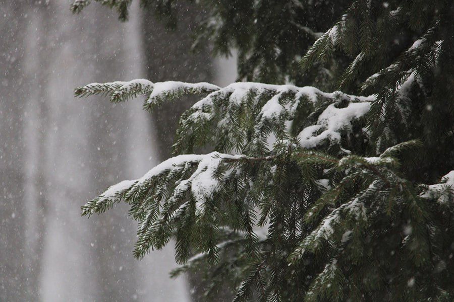 � ����� 27 ������� ��������� ���� � -6 ��������