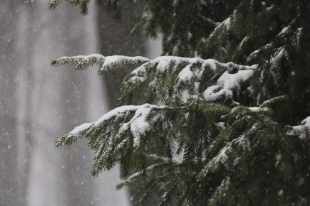 � ����� 27 ������� ��������� ���� � -6 ��������