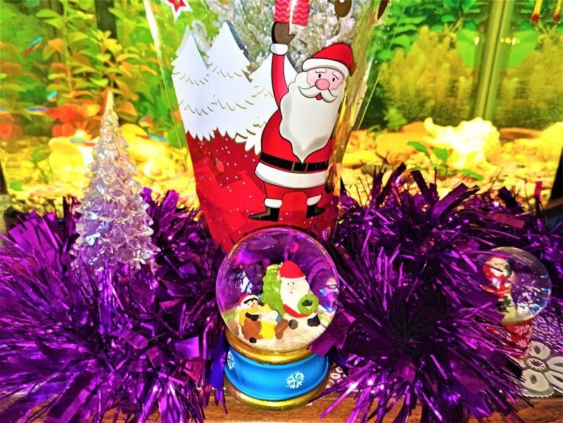 ��� �� �������� �������� ������ �����: ������� ����� �� ����� �� ��������