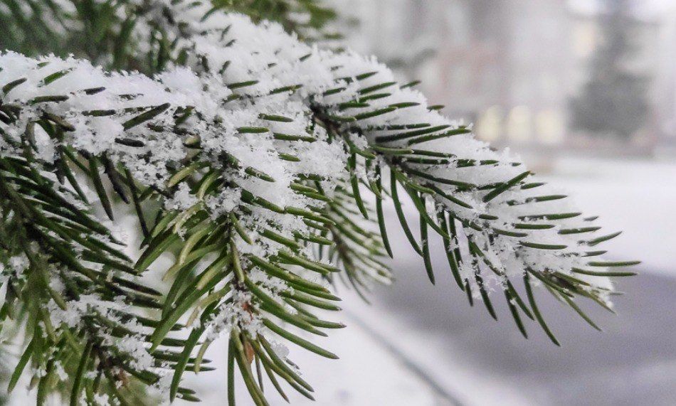 � ����� 30 ������� ��������� �� -6 �������� � ��������� ����