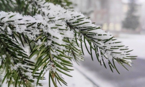 В Пензе 30 декабря ожидается до -6 градусов и умеренный снег