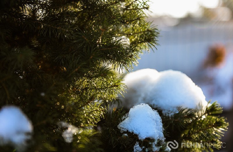 Дорогие наши зрители! Весь коллектив телеканала «Экспресс» поздравляет вас с наступающим Новым годом!