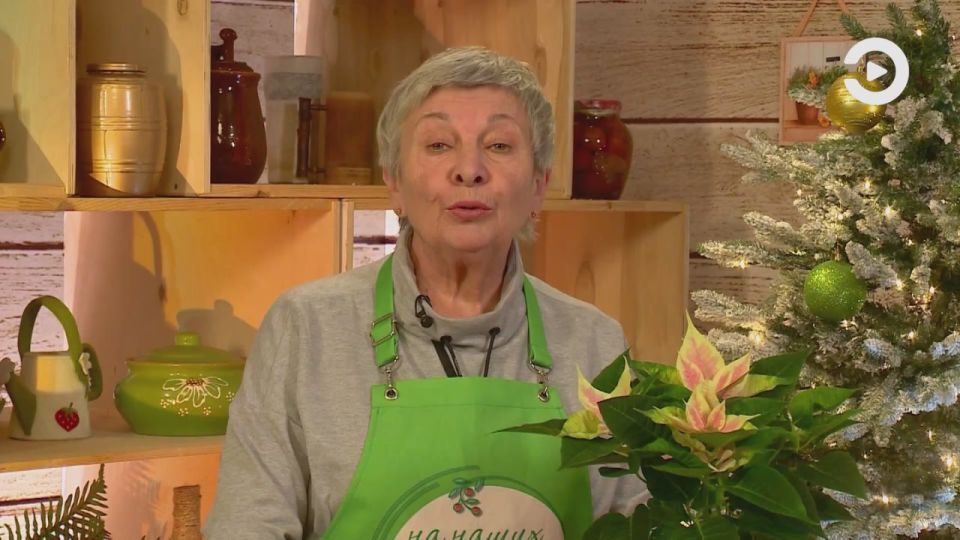 ��������� �������� �����, ������� ����� ���������� ���� �������� ��� ����������� ��� ��� ���� ����������