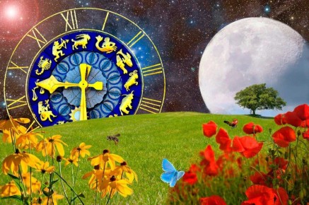 Как биодинамическое земледелие обеспечивает впечатляющий урожай