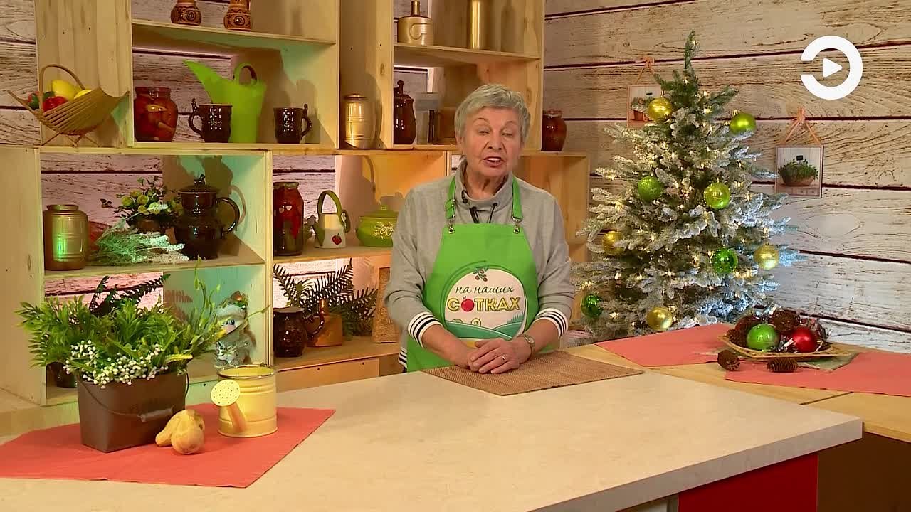 Доброе утро!. А вы слышали, что вечнозелёные кустарники – не только украшение участка, но и его природный щит? Плотная листва задерживает пыль, снижает уровень шума с улицы, а также служит убежищем для полезных насекомых и...