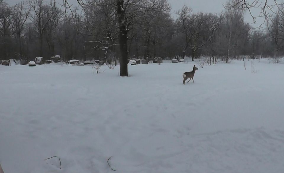 � ������ ����� 2 ������ ���������� �������������� � ������� ������� ���� ������������� �� ���������� ����������� ������ � ��������� ������