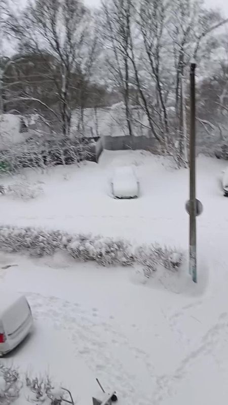 ��� ����� ���������� ����� ������-�������� � �������, ��� �� ��������� �������