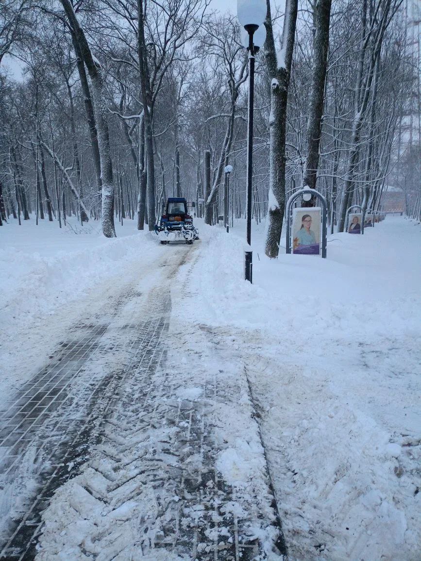 Рабочий день в Детском парке и парке Белинского начался затемно Рабочий день в Детском парке и парке Белинского начался затемно
