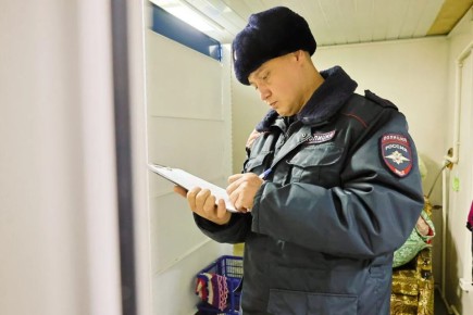 В Шемышейском районе мать и дочь обокрали дом приятельницы