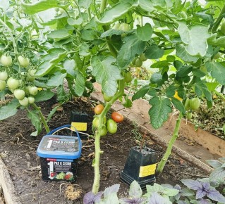 �������� � ��������: ��� ���������� � ������ ������� � �����