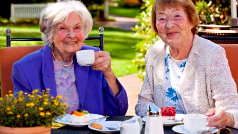 ������ ����������� ����� ��������� ���������� �������������: ������ � ������������