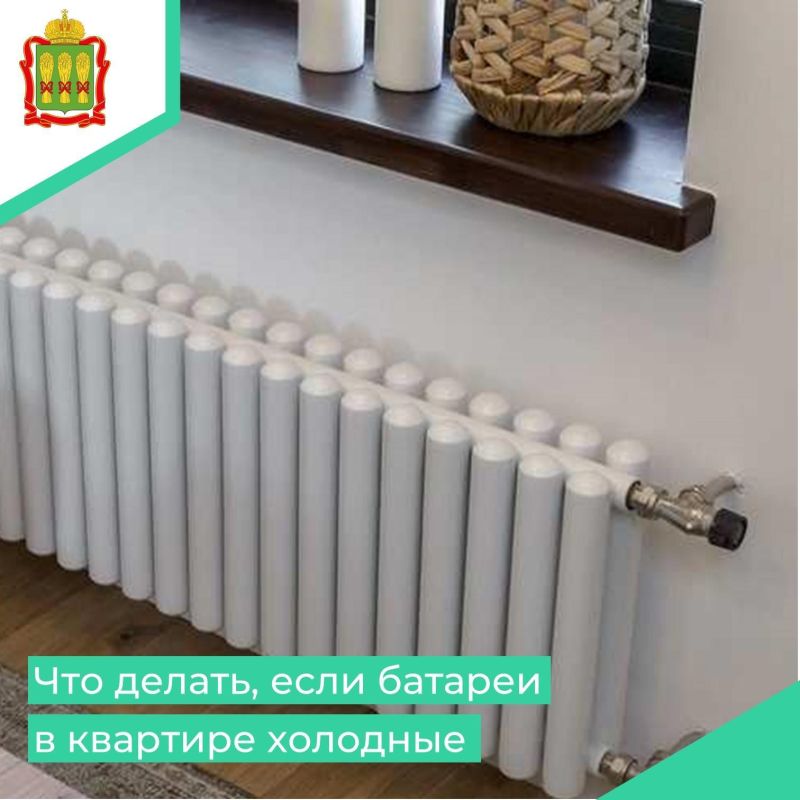 ������, ������� �������� �����, ������ ���� ������� � ���������� ������ ������� ��������� �������������