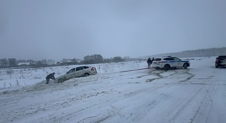 Сотрудники Госавтоинспекции Лунинского района оказали помощь водителю на заснеженной трассе