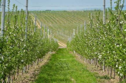 ������������ ������ � ���� � ���������� ������� ����������� ��������� ����� ������������