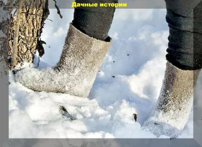 ������ ������ � ����: ���������� ���� � ����