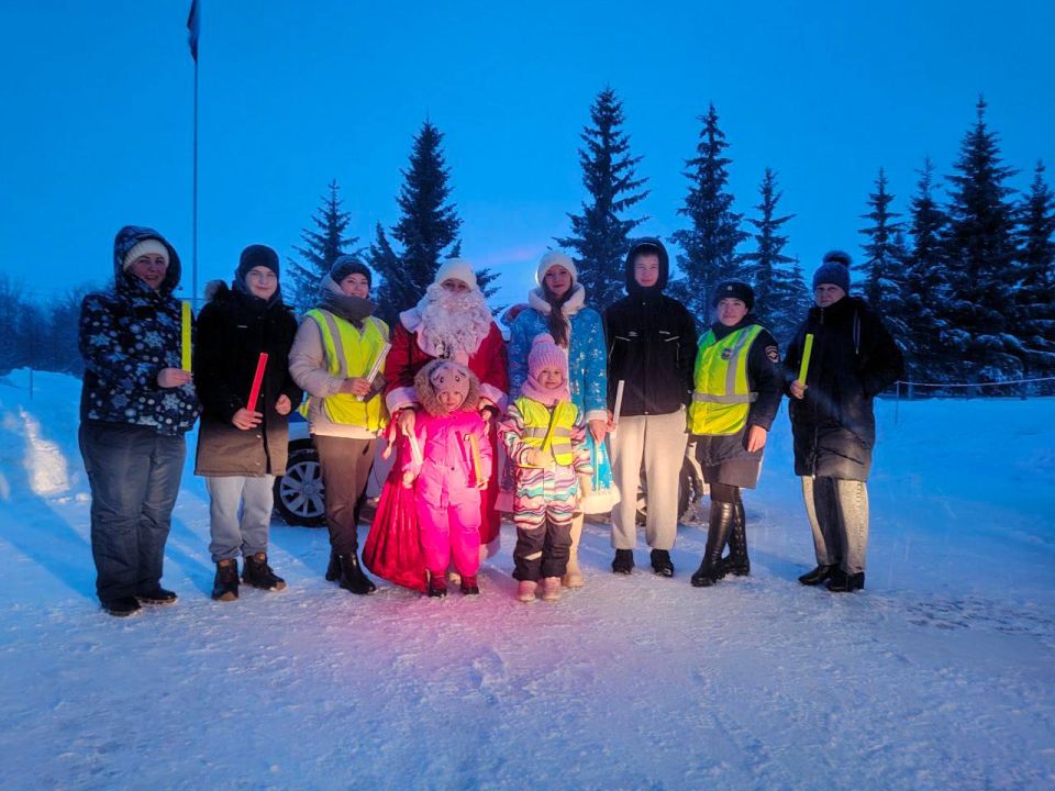 Госавтоинспекция Башмаковского района организовали флешмоб “Засветись с Дедом Морозом"