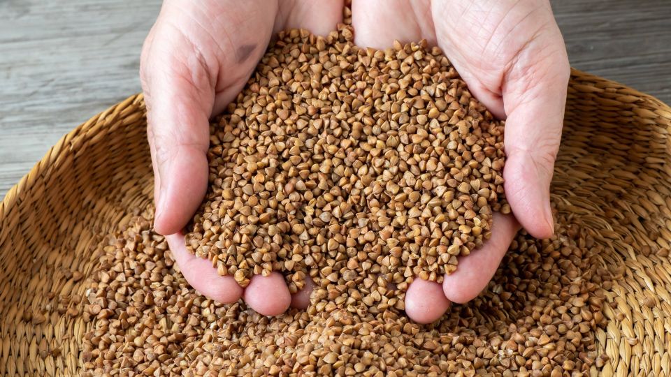 ��� ������ �� ���� ������� ���-������: ���������� ������ ����� ��� ������ �����