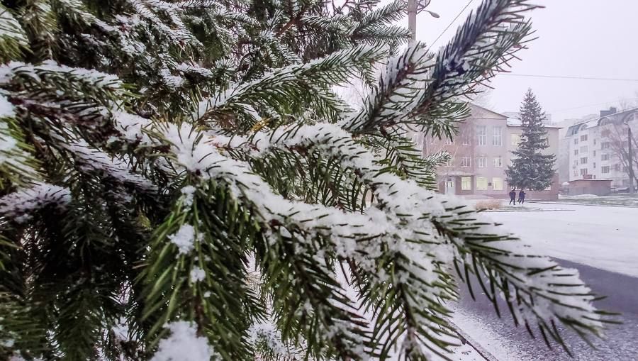 � ����� 11 ������ ��������� �� -5 �������� � ��������� ����