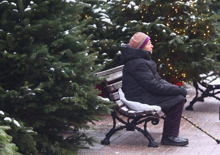 ������� ������ �� ������ � 2026 ����