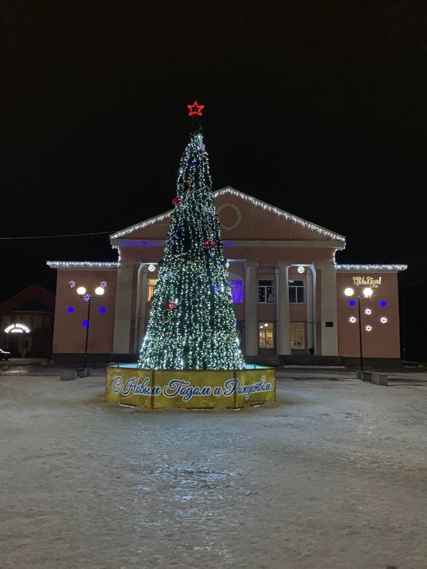 Наша новогодняя ёлка в центре села Бессоновка — это больше, чем просто украшение