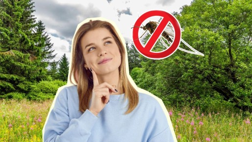 ������ �� ������� � ��� �� �����������: �� �������� ��� �������� ��������