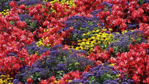 ����������� ��������: ��� ����������� ��� ����� ����