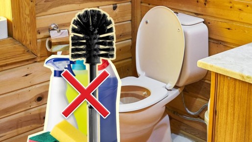 ������ ����� ����� ��������: ��� ��� ����� �������� � �����