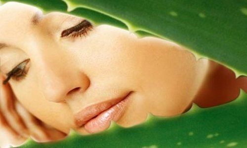 Увлажняющие маски для лица – простые рецепты на каждый день