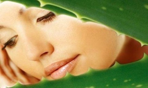 ����������� ����� ��� ���� � ������� ������� �� ������ ����