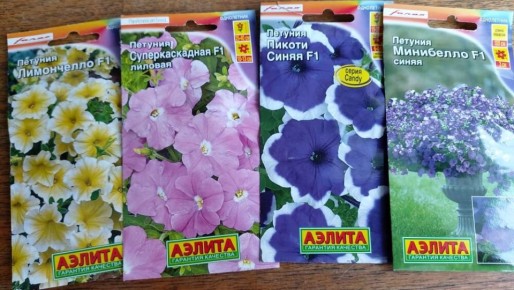 �������� �������: ��� ������� ������ �����