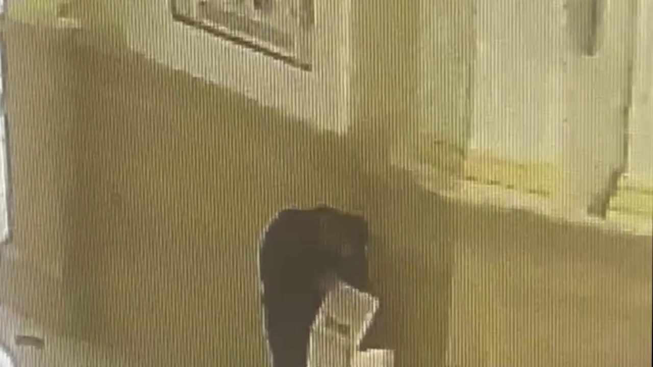 Пензенец похитил деньги из церкви и потратил их на новую стрижку